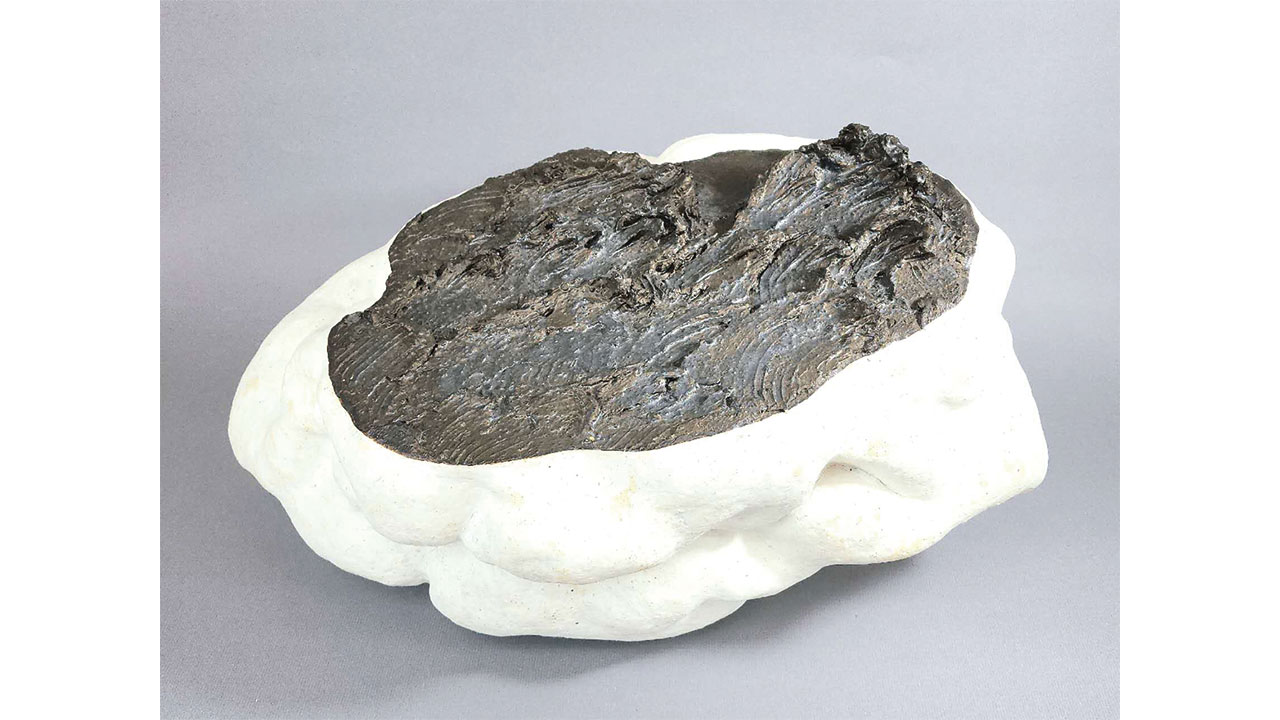 양보(Yang Bo)